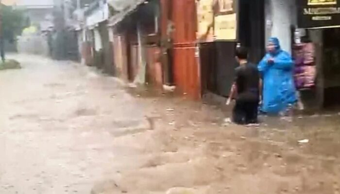 Hujan Deras Picu 14 Bencana di Kabupaten Bogor, Longsor hingga Banjir Terjadi Serentak