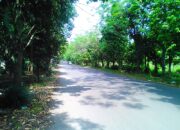 Dedie Rachim Bahas Jalur Alternatif IPB Bersama Rektor, Cifor Situ Gede Jadi Prioritas