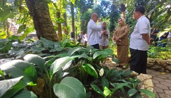 HUT ke 209 Kebun Raya Bogor Hadirkan Taman Araceae yang Instagramable Sekaligus Edukatif