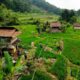 13 Desa Wisata di Kabupaten Bogor Bakal Kantongi SK Bupati, Pemkab Siapkan Penguatan Pariwisata Lokal