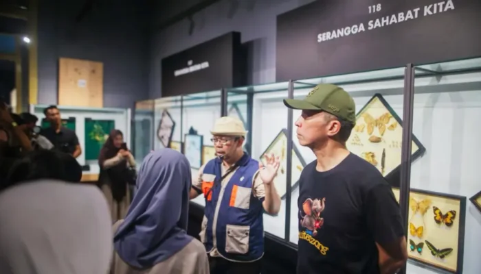 Libur Panjang di Kota Bogor Kini Bisa Main Sambil Belajar, Museum Pajajaran Segera Dibuka