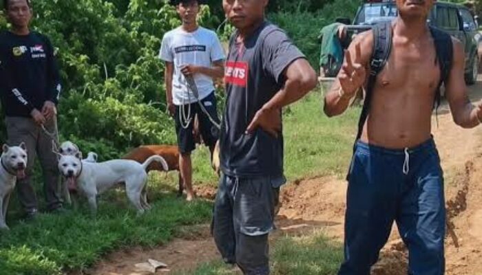Bocah di Jasinga Tewas Digigit Anjing Pemburu, Ayah Korban Syok Lihat Kondisi Jasad Anak