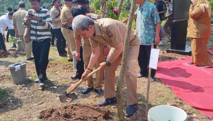 Tanam 544 Pohon, Pemkot Bogor Antisipasi Ancaman El Nino hingga 2027