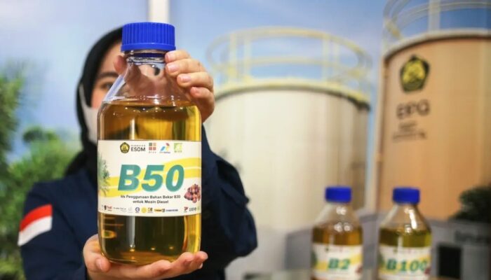 Mobil Diesel Lama Mau Pakai B50? Ini Bagian yang Wajib Dicek Dulu
