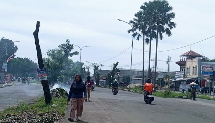 BMKG Sebut Hampir Separuh Jawa Barat Masuk Musim Kemarau, Warga Diingatkan Waspadai Scabies