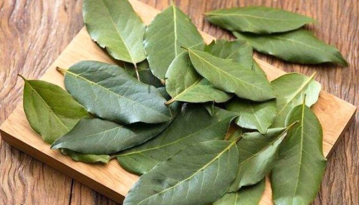Bukan Sekadar Bumbu Dapur, Ini 3 Manfaat Daun Salam untuk Gula Darah hingga Jantung