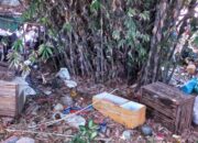 Depok Diberi Waktu Sepekan Angkut Sampah di Cibinong, Pemkab Bogor Soroti TPS Liar Perbatasan