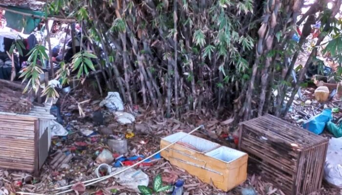 Depok Diberi Waktu Sepekan Angkut Sampah di Cibinong, Pemkab Bogor Soroti TPS Liar Perbatasan