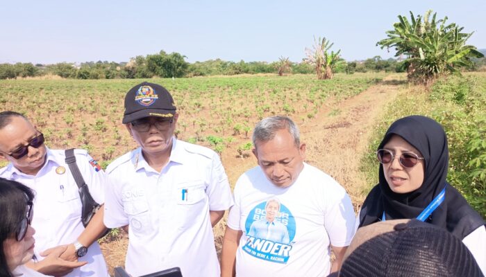 PSEL Bogor Siap Dibangun November 2026, Ribuan Ton Sampah Bakal Diolah Jadi Listrik