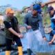 Hari Sungai Nasional, Warga dan Pemkot Bogor Bersihkan Ciliwung, 300 Bibit Ikan Nilem Ditebar