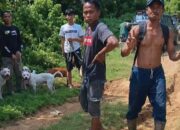 Damai Tak Hentikan Proses Hukum, Kasus Bocah Tewas Digigit Anjing Pemburu Tetap Disidangkan