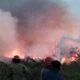 Api Mengganas di Cileungsi, Lahan Seluas 9,7 Hektare Ludes dan Permukiman Sempat dalam Ancaman