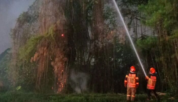 Api Besar Muncul di Exit Tol Baranangsiang Bogor, Damkar Turun Tangan