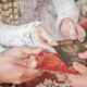 Gratis Tanpa Dipungut Biaya, Warga Kabupaten Bogor Bisa Urus Legalitas Pernikahan Lewat Isbat Nikah