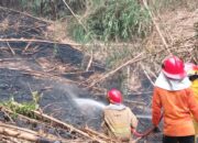 Gara-Gara Puntung Rokok, Lahan Desa di Citeureup Bogor Dilalap Api