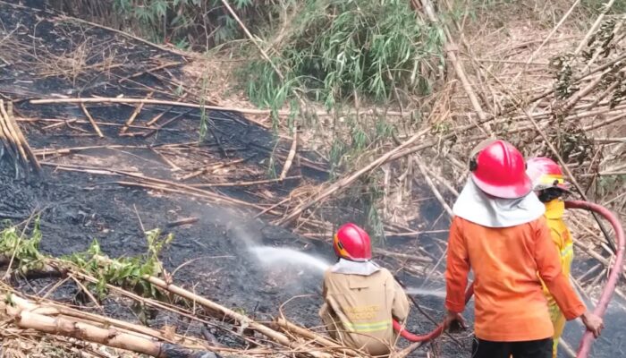 Gara-Gara Puntung Rokok, Lahan Desa di Citeureup Bogor Dilalap Api