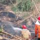 Gara-Gara Puntung Rokok, Lahan Desa di Citeureup Bogor Dilalap Api
