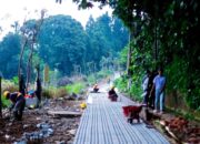 Desain Leuweung Batutulis Dinilai Melenceng, Wali Kota Bogor Minta Proyek Diubah