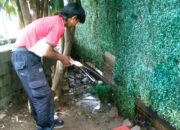 Keluhan Bau Pesing di Alun-Alun Kota Bogor Ditindaklanjuti, Pemkot Siapkan CCTV