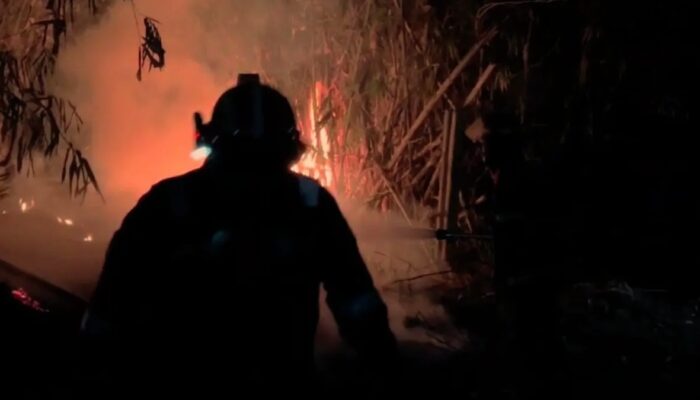Musim Kemarau Belum Usai, 98 Kebakaran Lahan Terjadi di Kabupaten Bogor