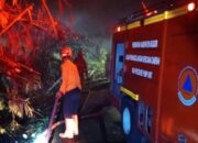 Puntung Rokok Diduga Picu Kebakaran Lahan 1.500 Meter Persegi di Rumpin Bogor