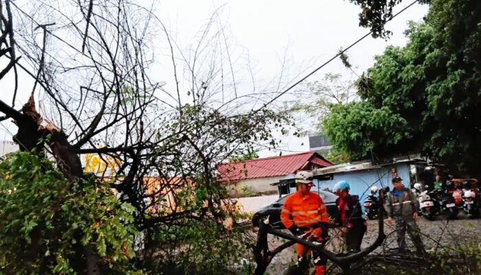 Hujan Deras Dua Hari, Empat Pohon Tumbang dan Satu Rumah Terbakar di Kota Bogor