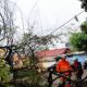 Hujan Deras Dua Hari, Empat Pohon Tumbang dan Satu Rumah Terbakar di Kota Bogor
