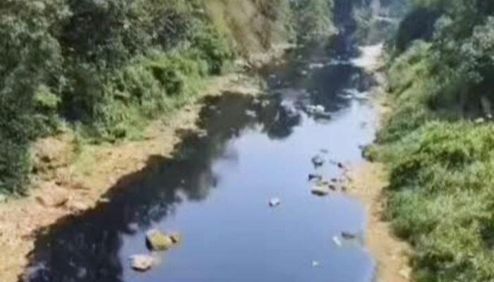 Air Sungai Cileungsi Hitam dan Bau Amis, Pencemaran Terpantau hingga 13 Kilometer