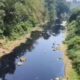 Air Sungai Cileungsi Hitam dan Bau Amis, Pencemaran Terpantau hingga 13 Kilometer