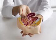 Urine Sering Bocor Saat Batuk atau Tertawa? Ini 6 Makanan yang Bisa Membantu Menjaga Kandung Kemih