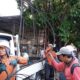 Pemkot Bogor Targetkan 12 Kilometer Kabel Udara Masuk Tanah, Suryakencana Menyusul