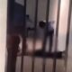 Viral Video Dugaan Pemukulan di Kantor KPPG Bogor, Dua SPPI Disebut Terlibat