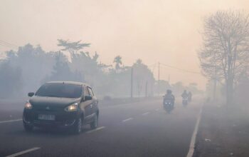 Asap Kebakaran Hutan Tak Hanya Merusak Paru-paru, Ini Risiko bagi Jantung hingga Otak