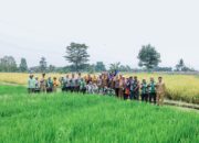 Ditengah Keterbatasan Lahan Pemkot Bogor Konsisten Upayakan Kemandirian Pangan