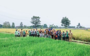Ditengah Keterbatasan Lahan Pemkot Bogor Konsisten Upayakan Kemandirian Pangan