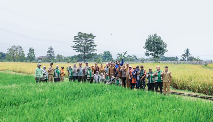 Ditengah Keterbatasan Lahan Pemkot Bogor Konsisten Upayakan Kemandirian Pangan