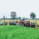Ditengah Keterbatasan Lahan Pemkot Bogor Konsisten Upayakan Kemandirian Pangan